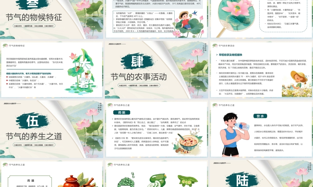 绿色中国风二十四节气之大暑介绍.pptx