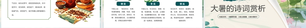 绿色中国风二十四节气之大暑介绍.pptx