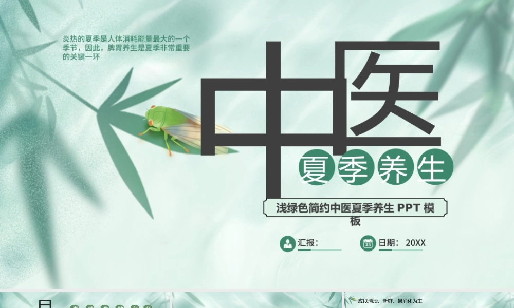 浅绿色简约中医夏季养生 .pptx