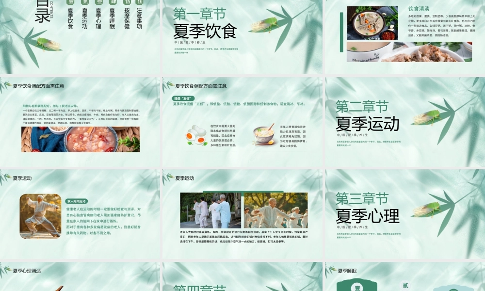 浅绿色简约中医夏季养生 .pptx