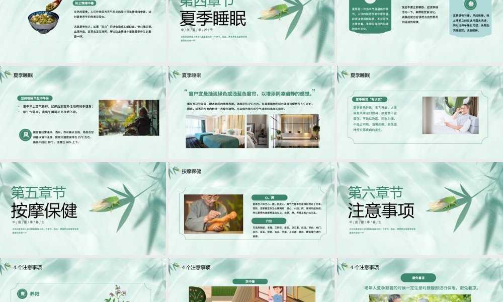 浅绿色简约中医夏季养生 .pptx