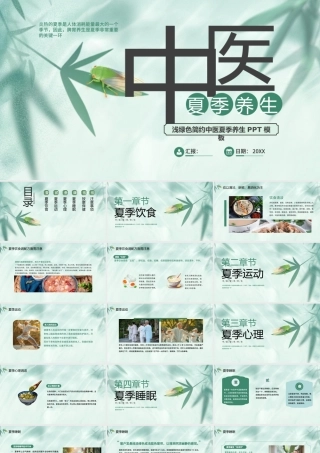 浅绿色简约中医夏季养生 .pptx