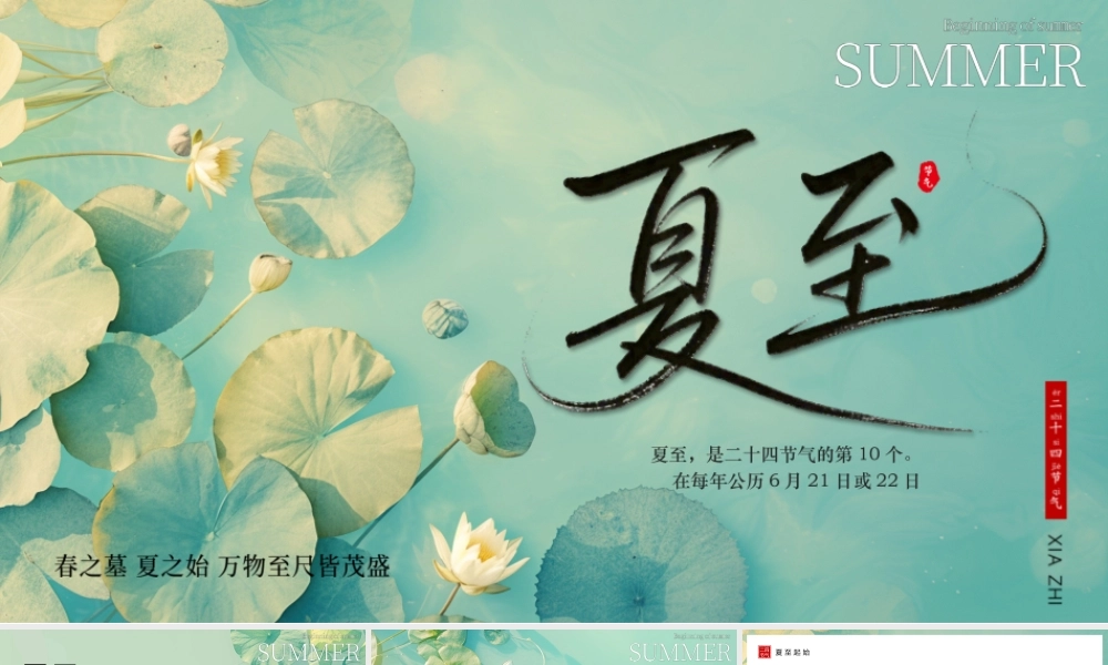 绿色风二十四节气之夏至介绍.pptx