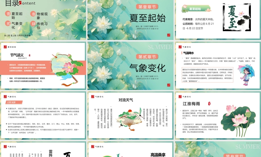 绿色风二十四节气之夏至介绍.pptx
