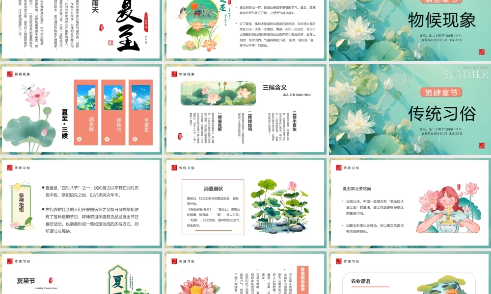 绿色风二十四节气之夏至介绍.pptx