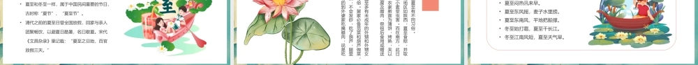 绿色风二十四节气之夏至介绍.pptx