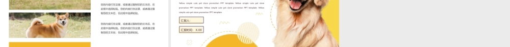 黄色宠物狗背景可爱宠物店宣传.pptx