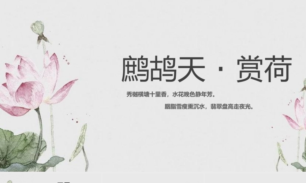 淡雅水墨荷花背景“鹧鸪天赏荷”古诗词鉴赏.pptx
