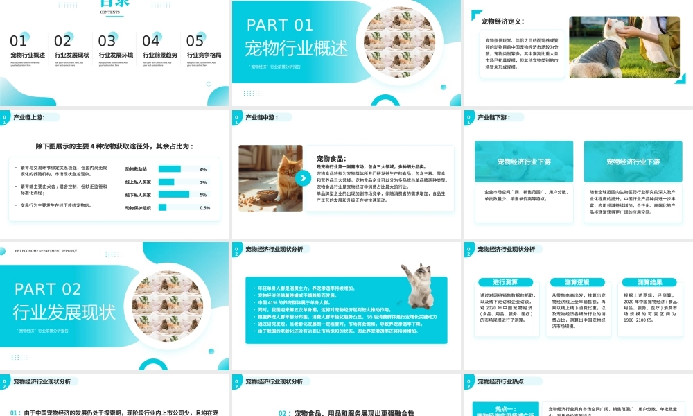 蓝色宠物经济行业前景分析报告.pptx