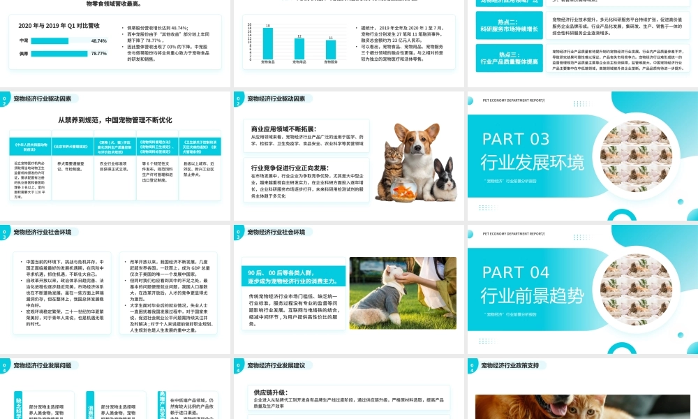 蓝色宠物经济行业前景分析报告.pptx