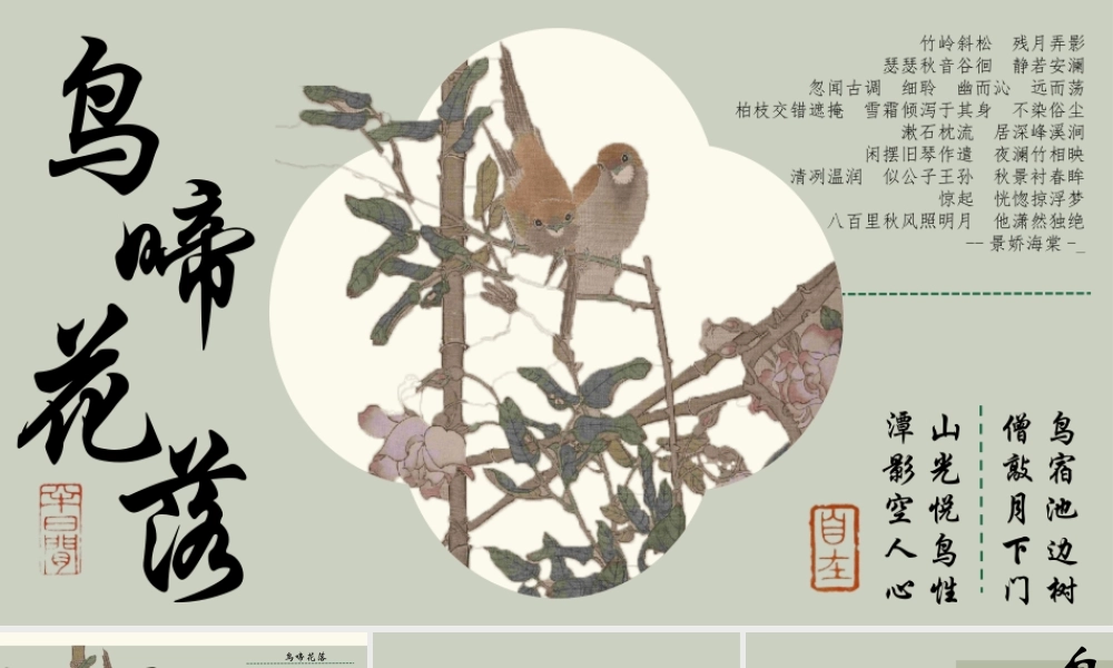 古典工笔花鸟背景“鸟啼花落”.pptx