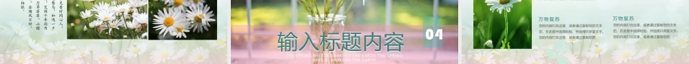 多彩时尚花瓶背景“初遇春天”植物系商务汇报.pptx