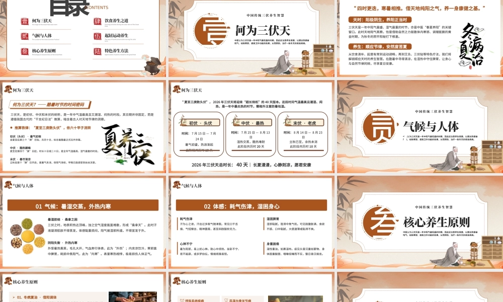 暖色中国风三伏养一夏健康一整年 .pptx