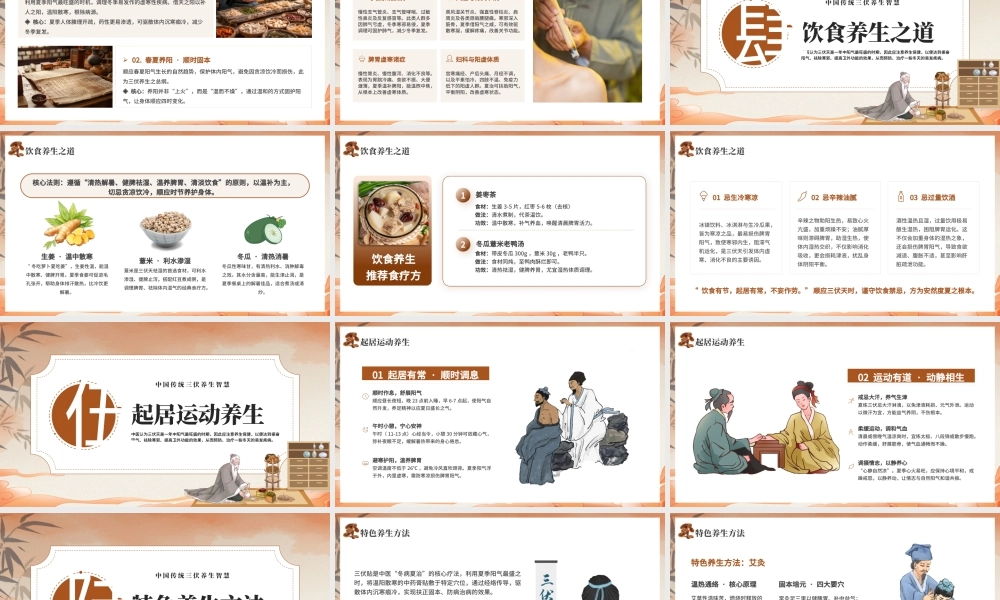 暖色中国风三伏养一夏健康一整年 .pptx