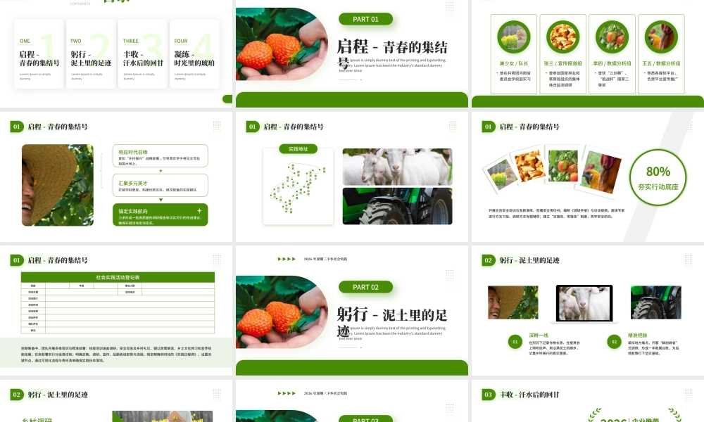 绿色简约清新2026年暑期三下乡社会实践 .pptx