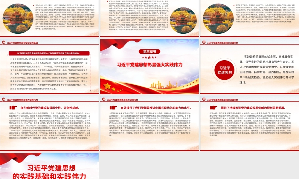 习近平党建思想的实践基础和实践伟力党课.pptx