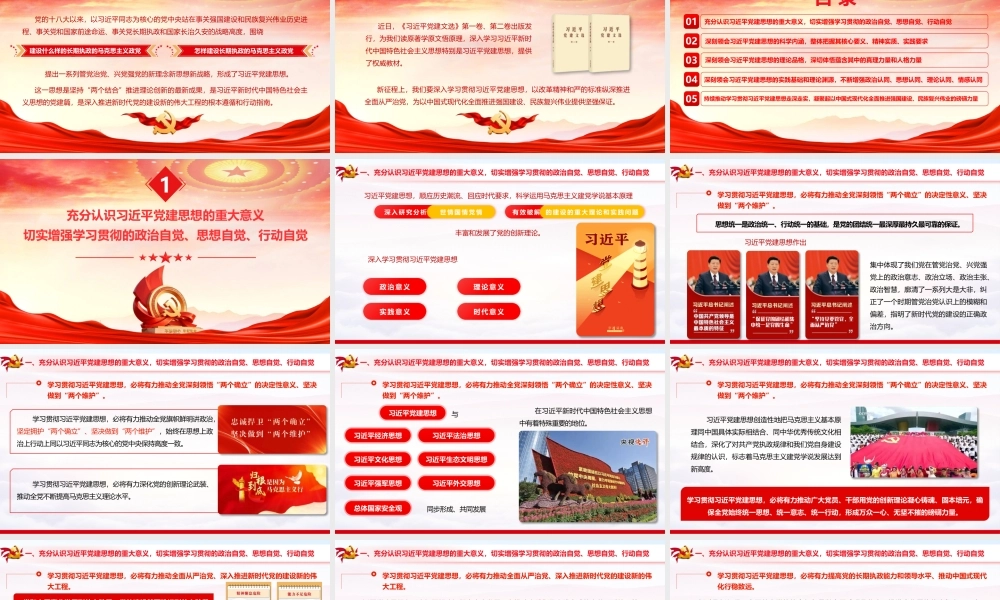 PPT：坚持以总书记党建思想为指引奋力推进新时代党的建设新的伟大工程.pptx