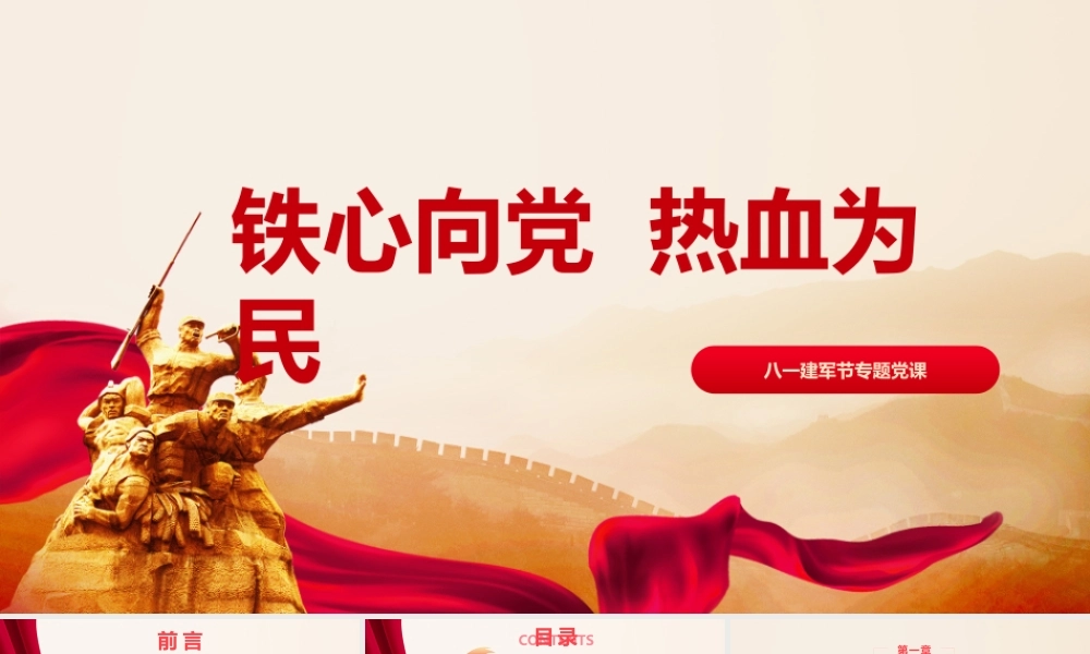 PPT：铁心向党，热血为民.pptx