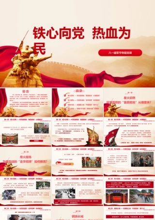 PPT：铁心向党，热血为民.pptx