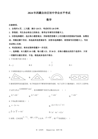 2024年西 藏中考数学试题.docx