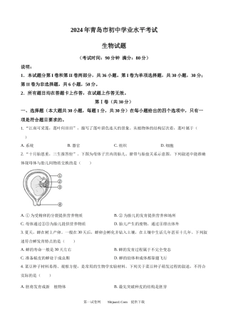 2024年山东省青岛市中考生物试题.docx