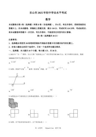 2025年四川省乐山市中考数学试题.docx