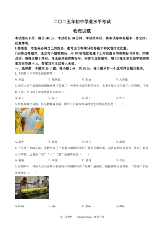 2025年山东省中考物理试题.docx