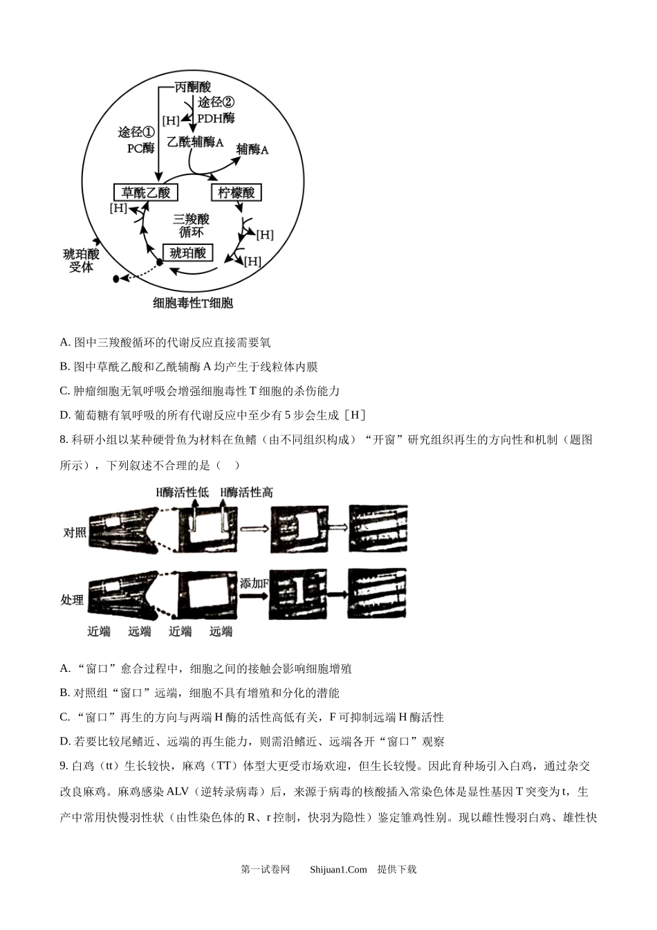 2024年高考生物试卷（重庆）.docx_第3页