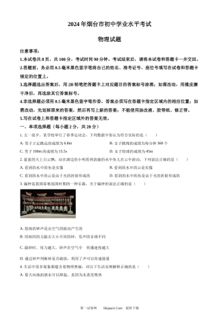 2024年山东省烟台市中考物理试题.docx