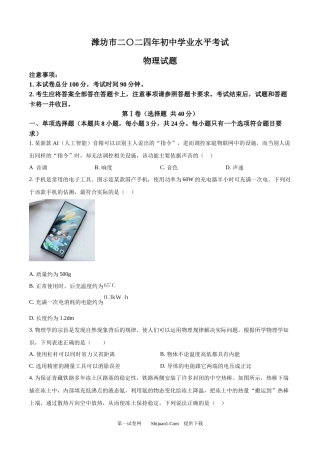 2024年山东省潍坊市中考物理试题.docx