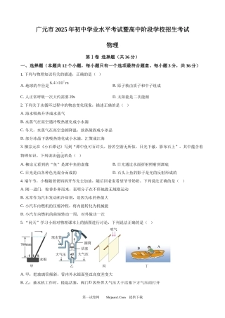 2025年四川省广元市中考物理试题.docx