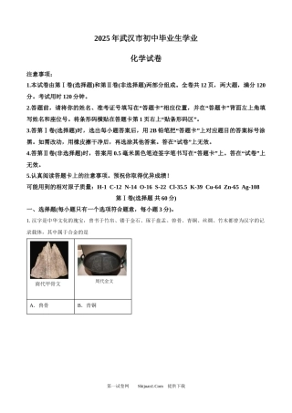 2025年湖北省武汉市中考化学真题.docx