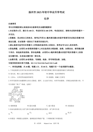 2025年江苏省扬州市中考化学真题 .docx