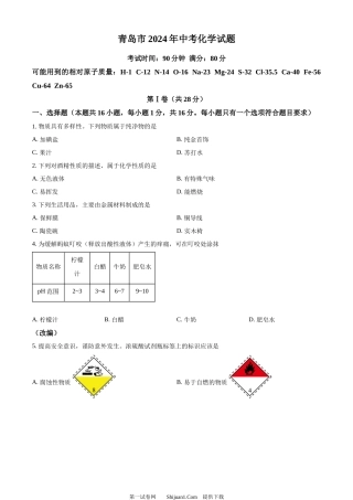 2024年山东省青岛市中考化学真题.docx