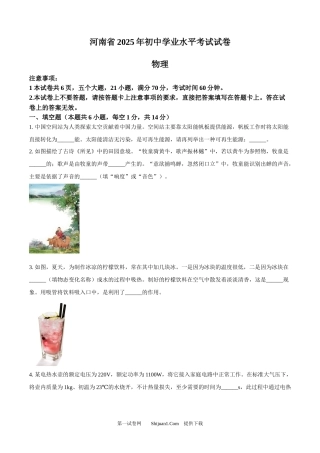 2025年河南省中考物理试题.docx