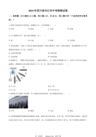 2024年四川省内江市中考物理试题.docx