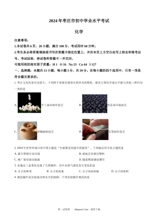 2024年山东省枣庄市中考化学真题.docx