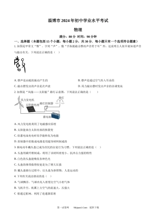 2024年山东省淄博市中考物理试题.docx