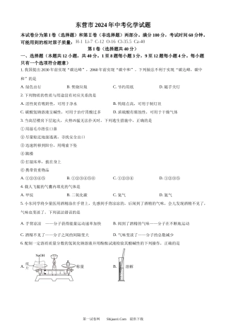 2024年山东省东营市中考化学真题.docx