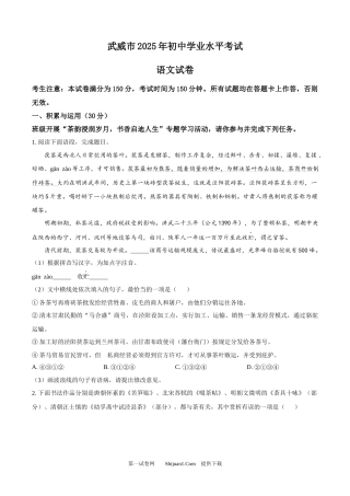 2025年甘肃省武威市中考语文真题.docx
