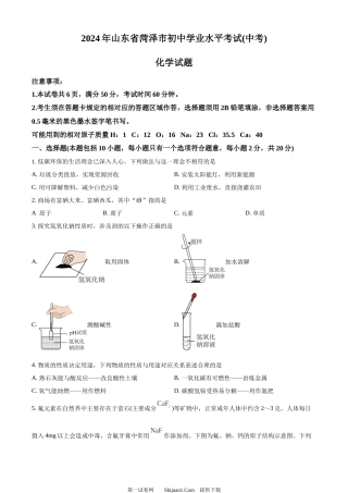 2024年山东省菏泽市中考化学真题.docx