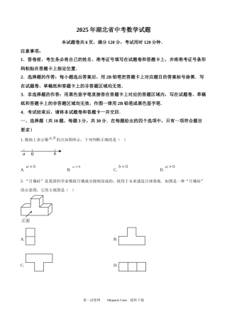 2025年湖北省中考数学试题.docx
