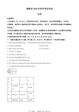 2024年山东省威海市中考化学真题.docx