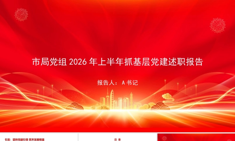 PPT：市局党组2026年上半年抓基层党建述职报告.pptx
