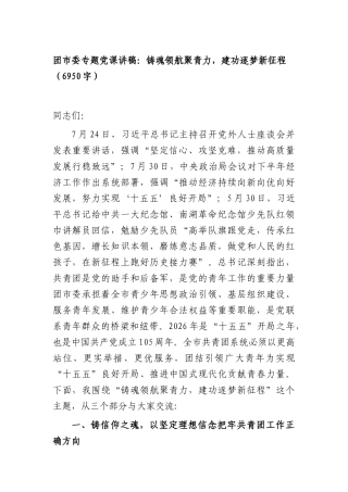 团市委专题党课讲稿：铸魂领航聚青力，建功逐梦新征程（6950字）.docx
