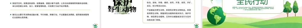 绿色简约2026全国生态日宣传 .pptx