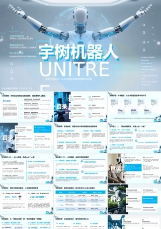 宇树机器人（Unitree）深度分析报告 .pptx