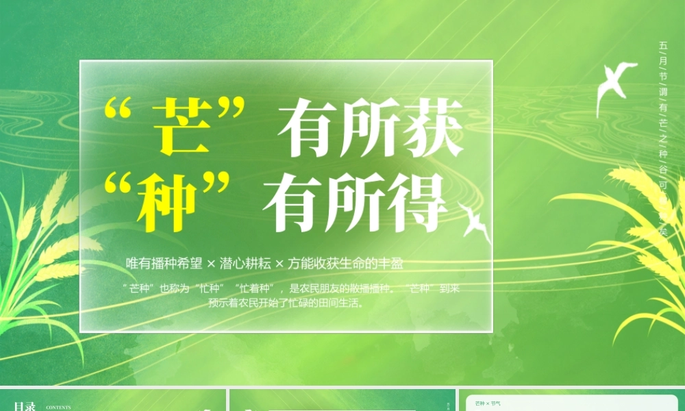 绿色小清新芒种节气介绍 .pptx
