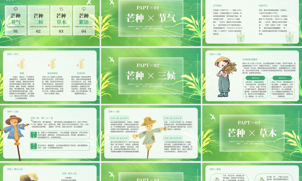 绿色小清新芒种节气介绍 .pptx