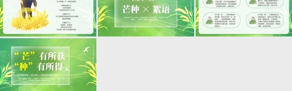 绿色小清新芒种节气介绍 .pptx